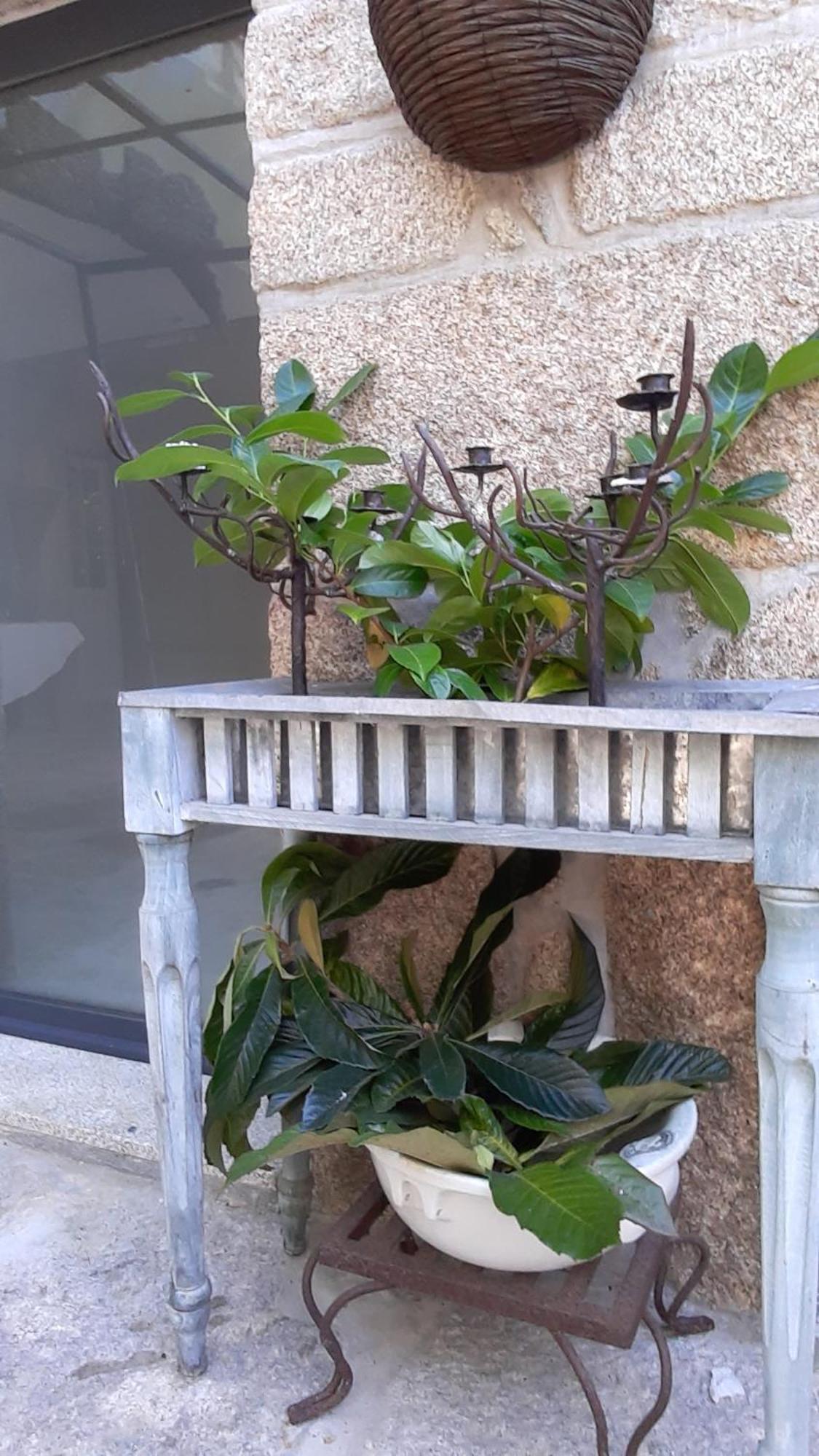 Casa D'Aldeia De Souto De Lafoes Guest House Oliveira de Frades Eksteriør bilde